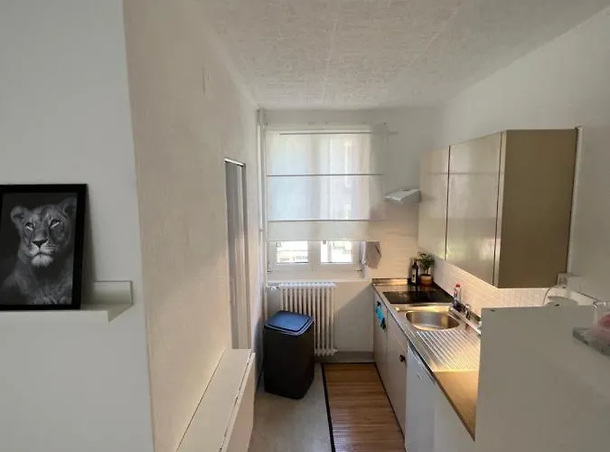 Appt 4 Recientemente Renovado